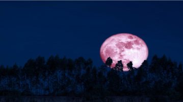 superlua rosa